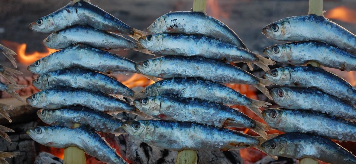 gastronomia-torredelmar